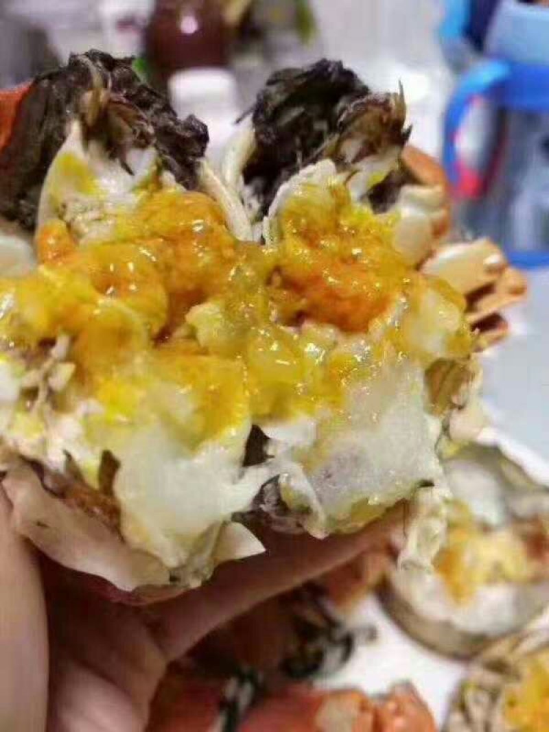 兴化红膏大闸蟹3两母