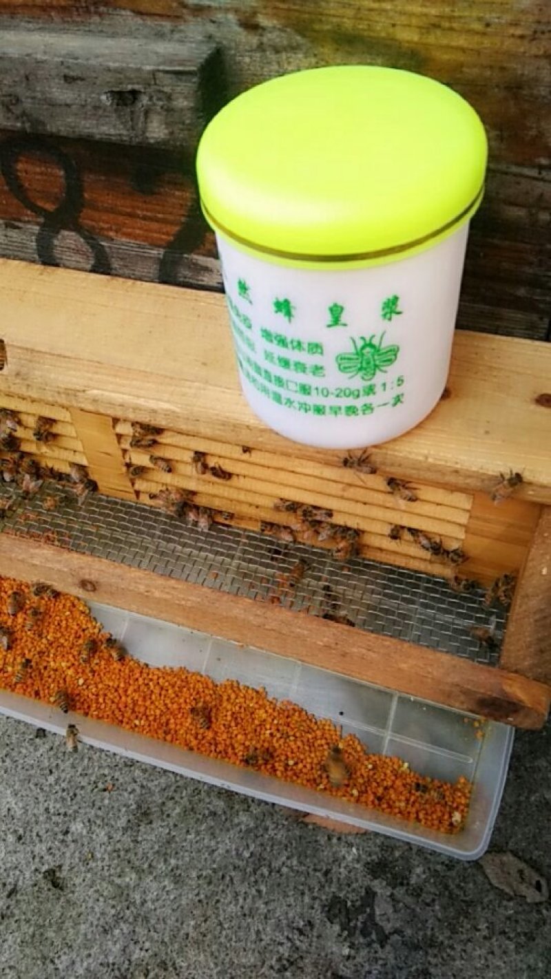 蜂王浆