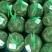 兴化红膏大闸蟹3.5公蟹