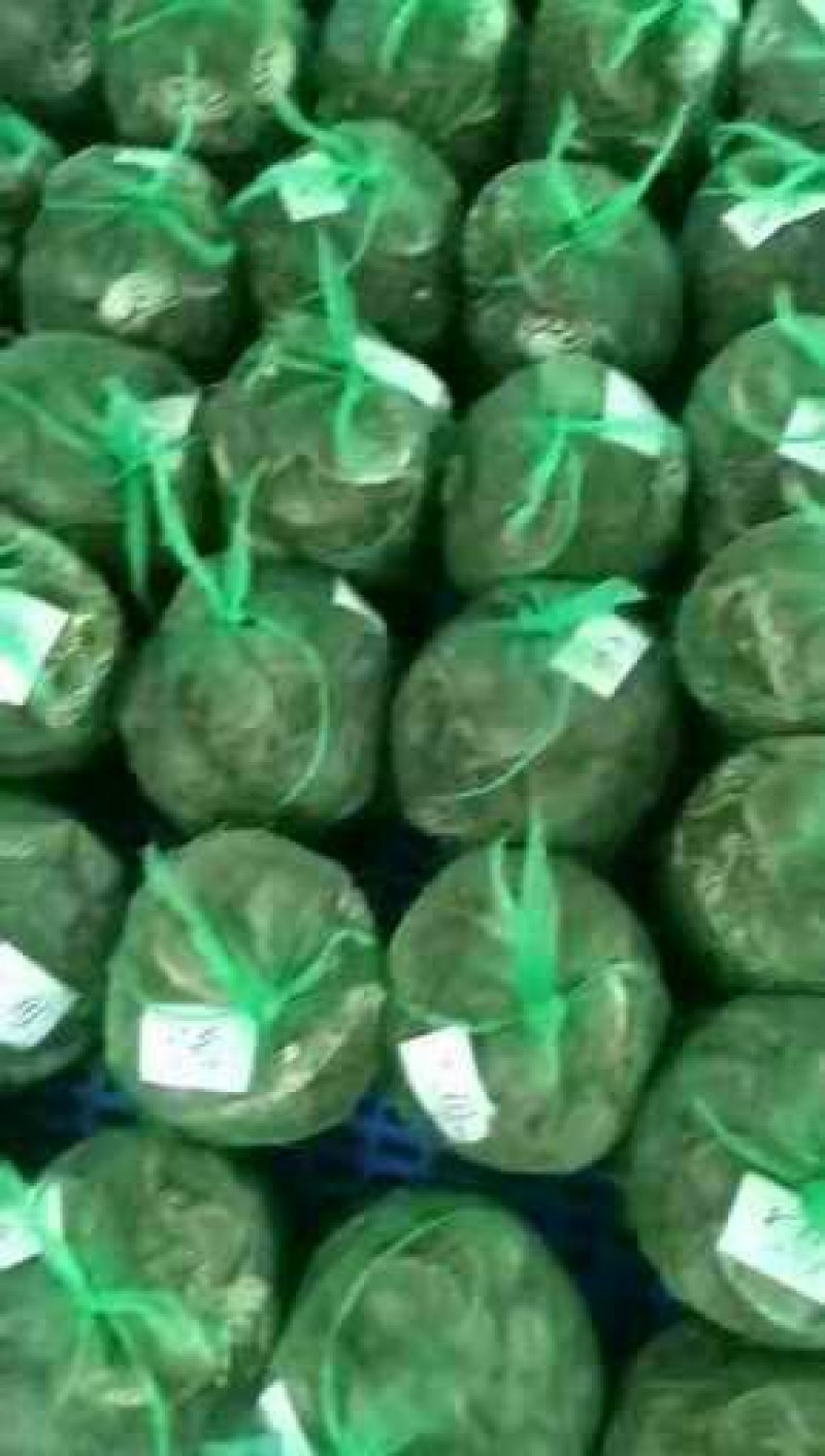 兴化红膏大闸蟹3.5公蟹