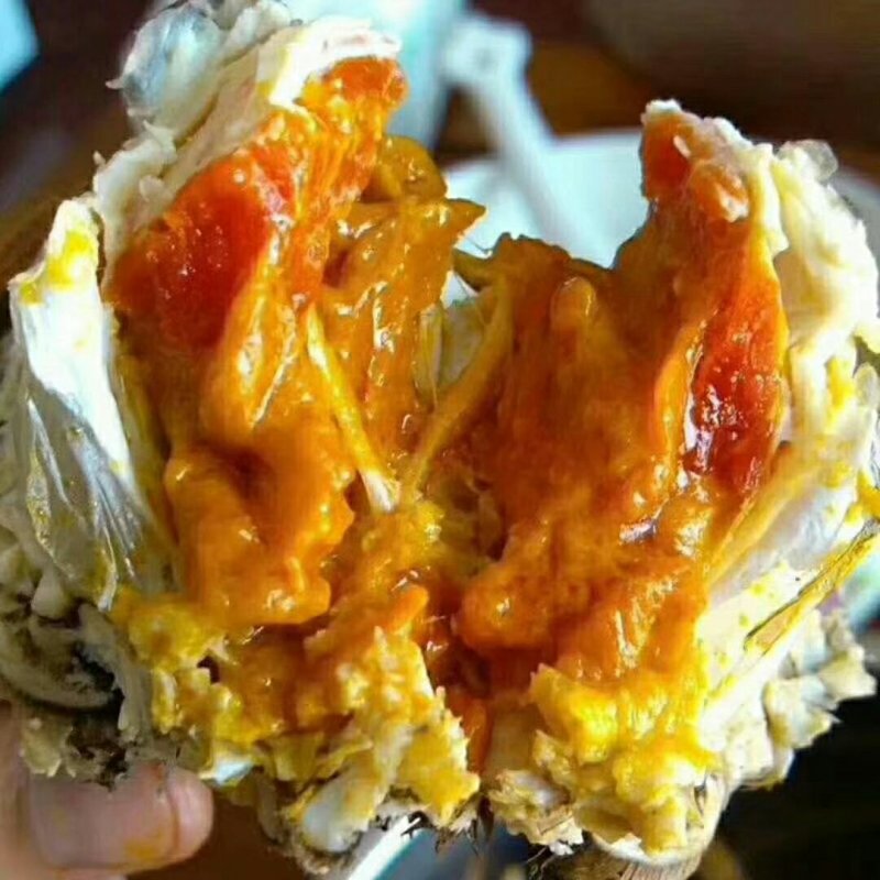 兴化红膏大闸蟹3.5公蟹