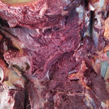 驴肉