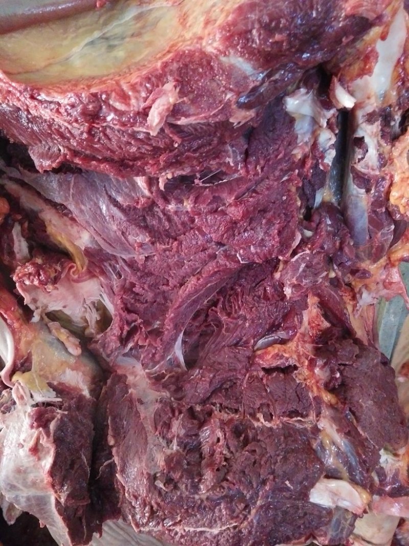 驴肉