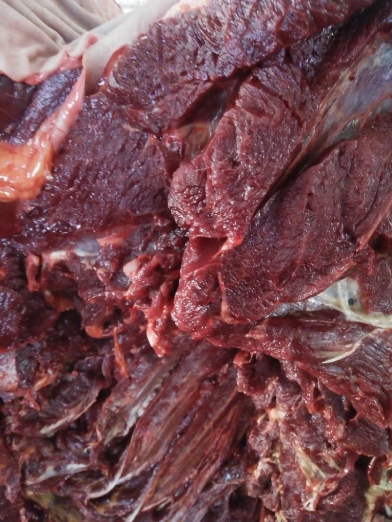 驴肉