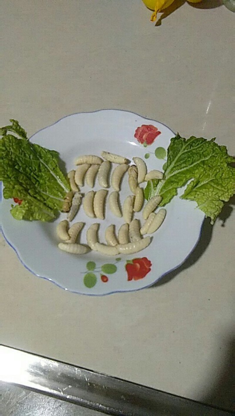 蜂蛹