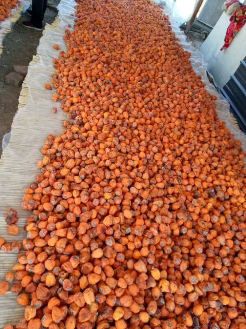 山东牛心柿饼