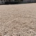 药果，白果，银杏果