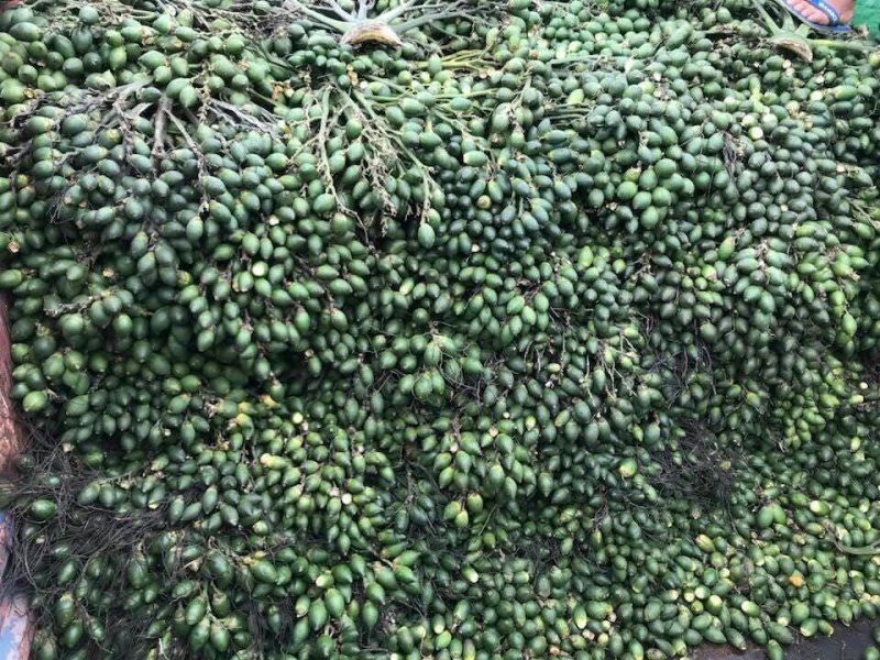 槟榔