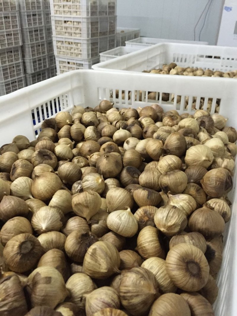 黑蒜厂家直供独头黑蒜500克可贴牌加工
