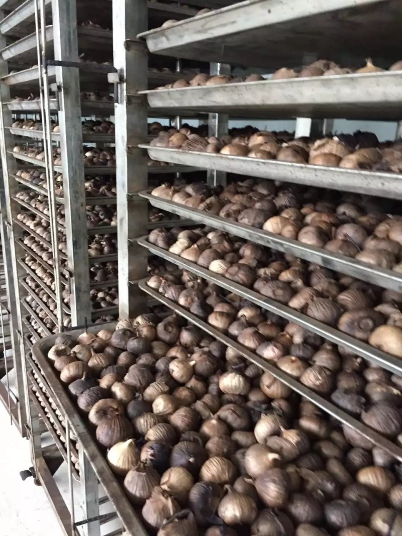 黑蒜厂家直供独头黑蒜500克可贴牌加工