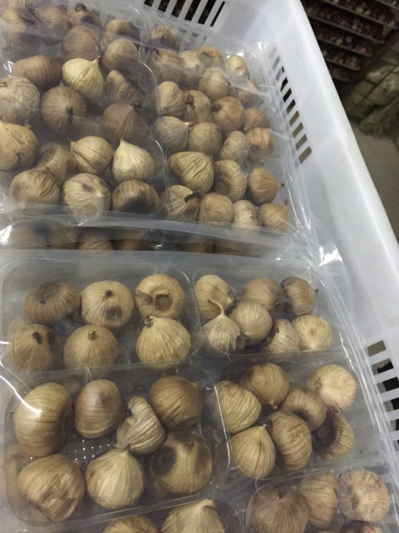 黑蒜厂家直供独头黑蒜500克可贴牌加工