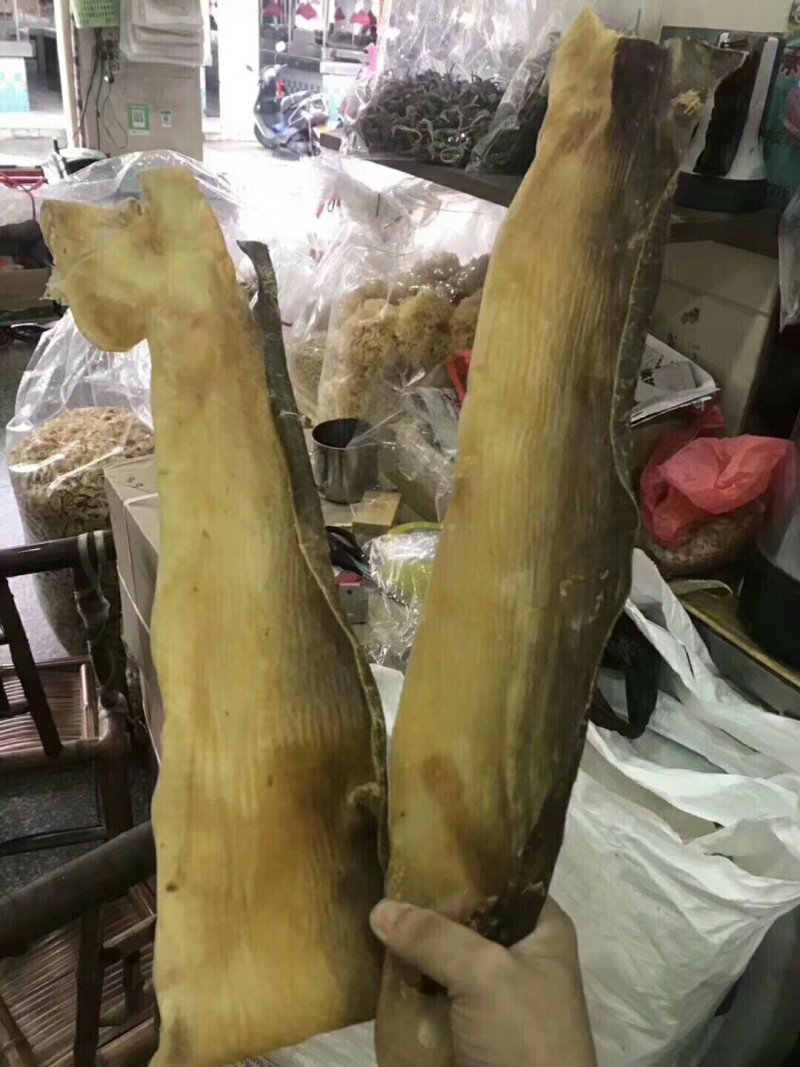 无沙鲨鱼皮