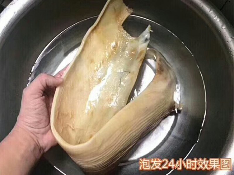 无沙鲨鱼皮