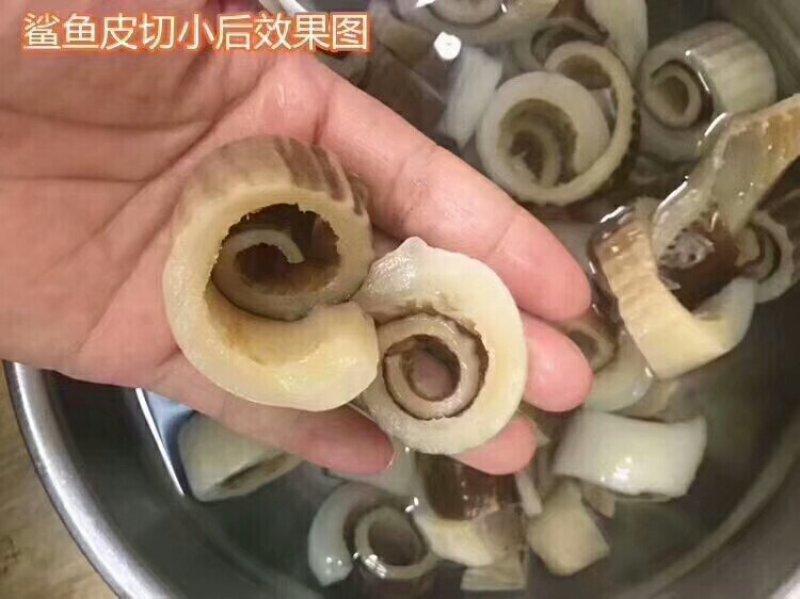 无沙鲨鱼皮