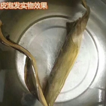 无沙鲨鱼皮