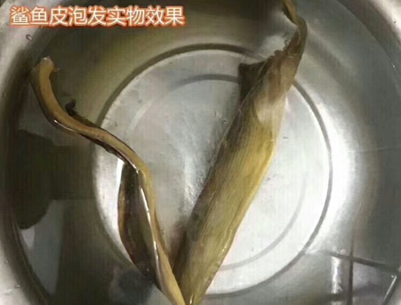 无沙鲨鱼皮