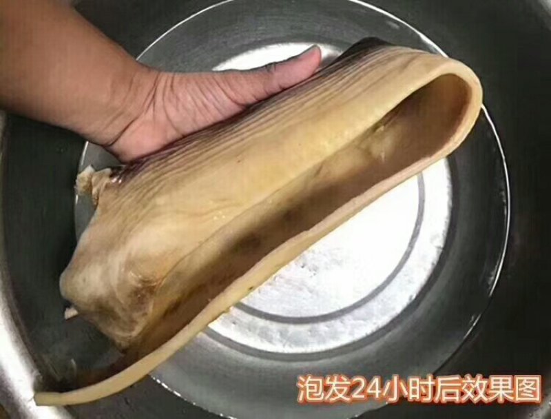 无沙鲨鱼皮