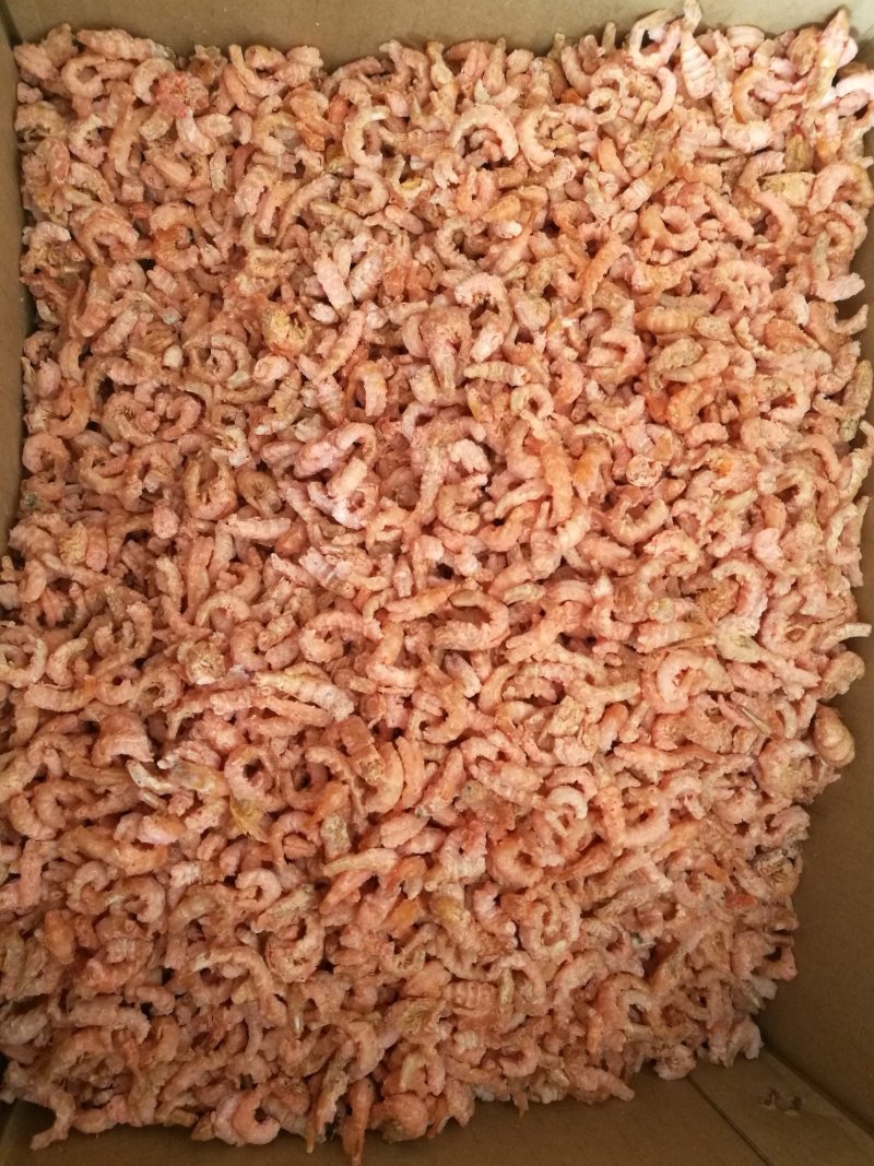 海米草虾米