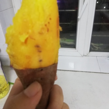 批发烟薯25