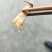 多春鱼