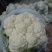 精品实花花菜，花面白净紧实，形状好，一亩田指定合作商