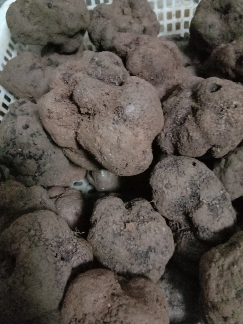 三两到六两重的松露，