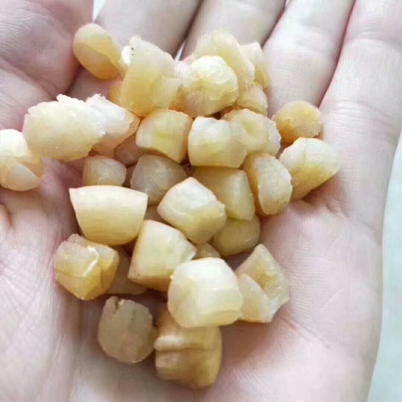 中瑶柱