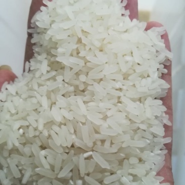 粮油副产品