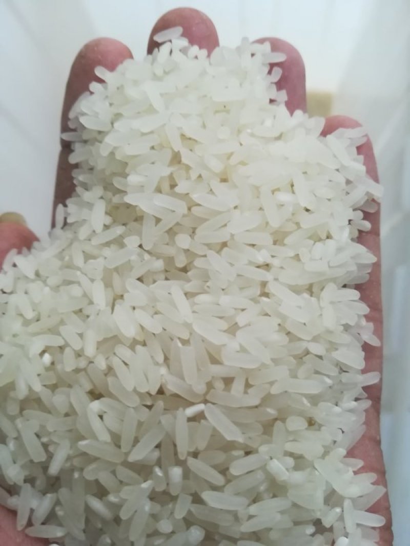 粮油副产品