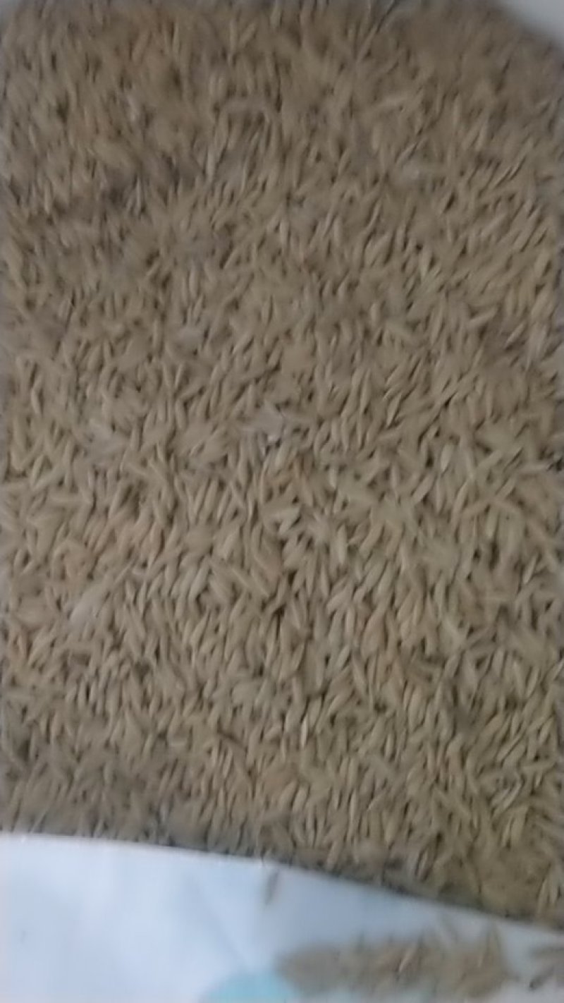 粮油副产品
