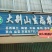 茭白结茭老根纯度高一万棵单双季茭白种苗混批