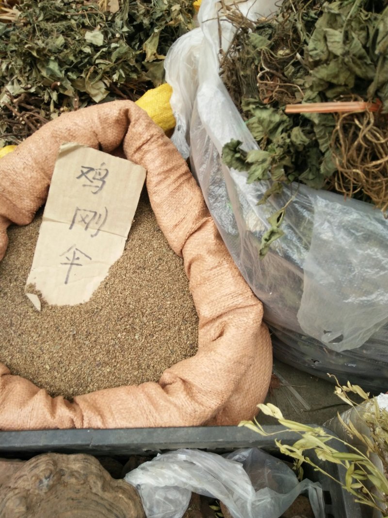 鸡肝散