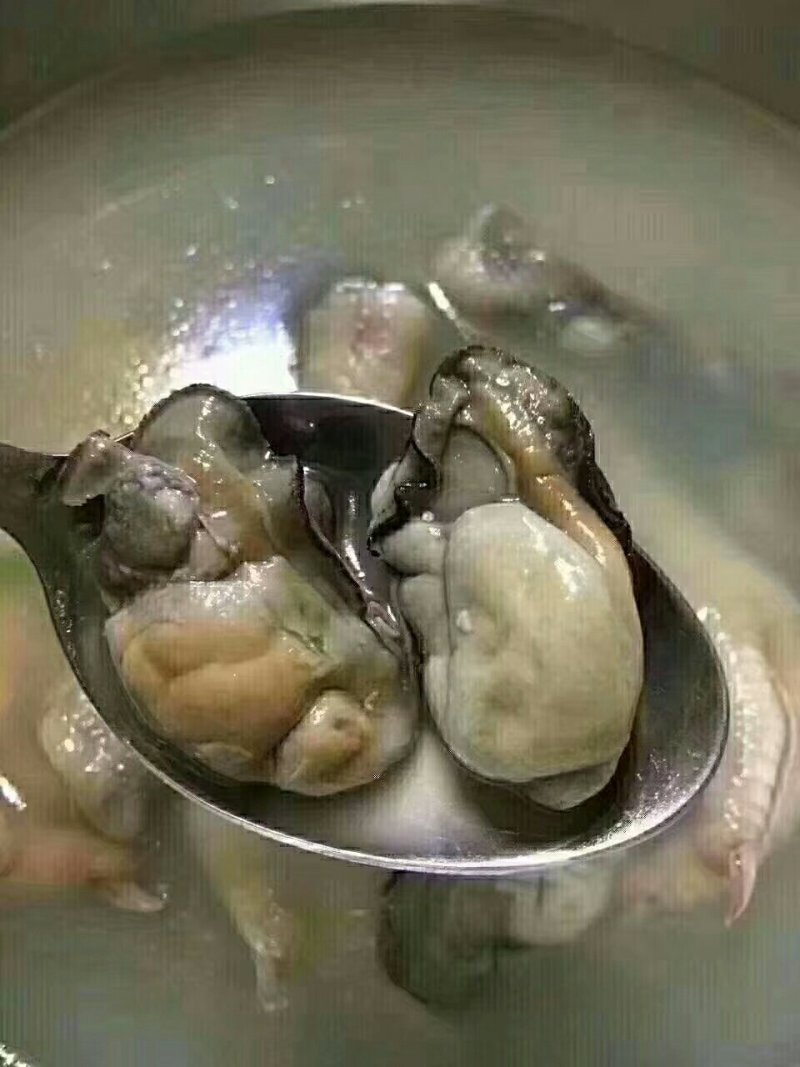 蚝干