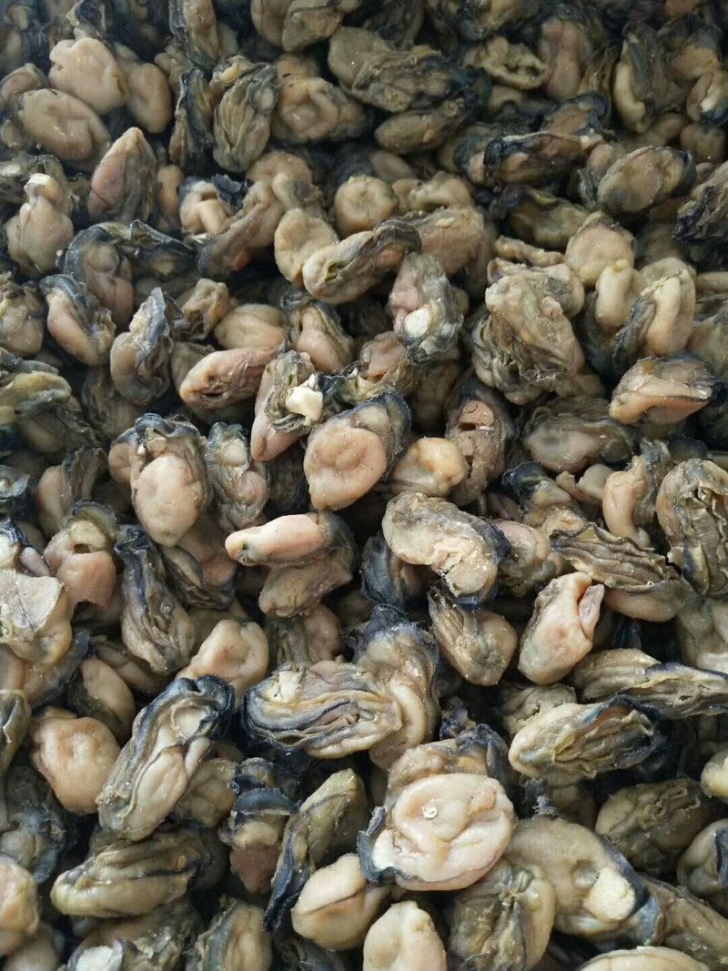 蚝干