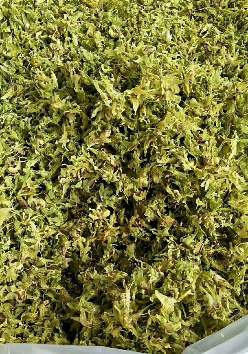石斛花