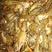麻青虾苗一斤（80~150个）无病，优质虾苗提供技术指导