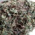 风柜斗草水洗切断晒干货
