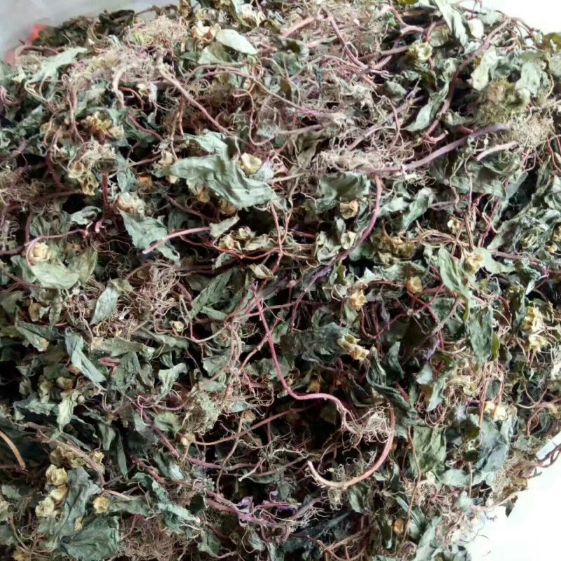 风柜斗草水洗切断晒干货