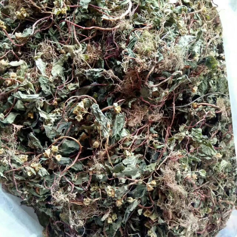 风柜斗草水洗切断晒干货
