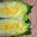 推荐潍坊青州精品白菜菊锦4~6斤净菜潍坊青州