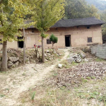 种植，养殖山地出租
