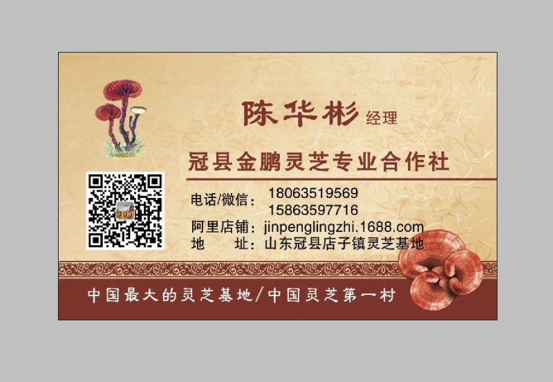 小型灵芝盆景价格优惠