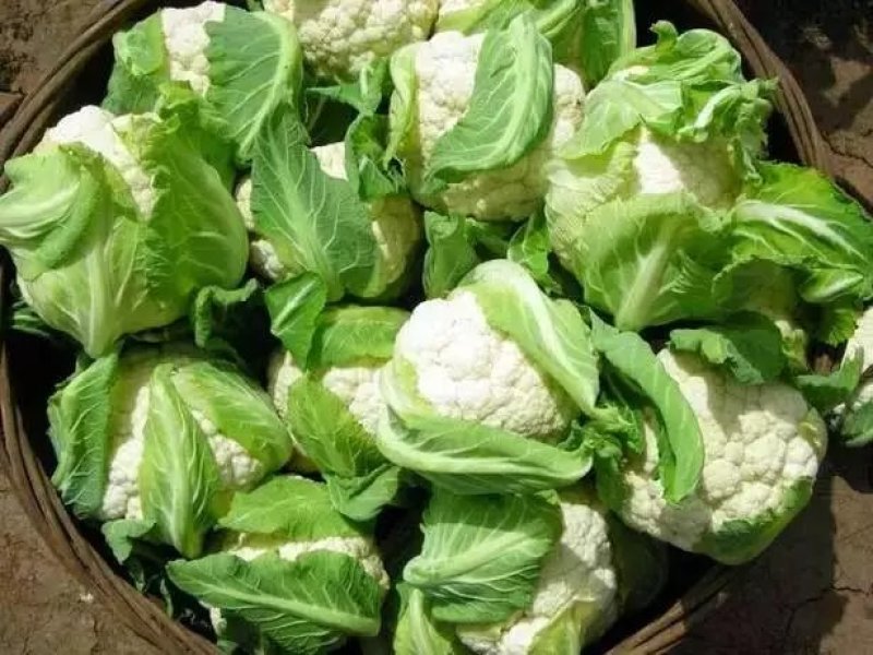 松紧菜花2~3斤，颜色白，包装齐全，欢迎整车采购发货
