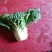 黄心菜，小油菜