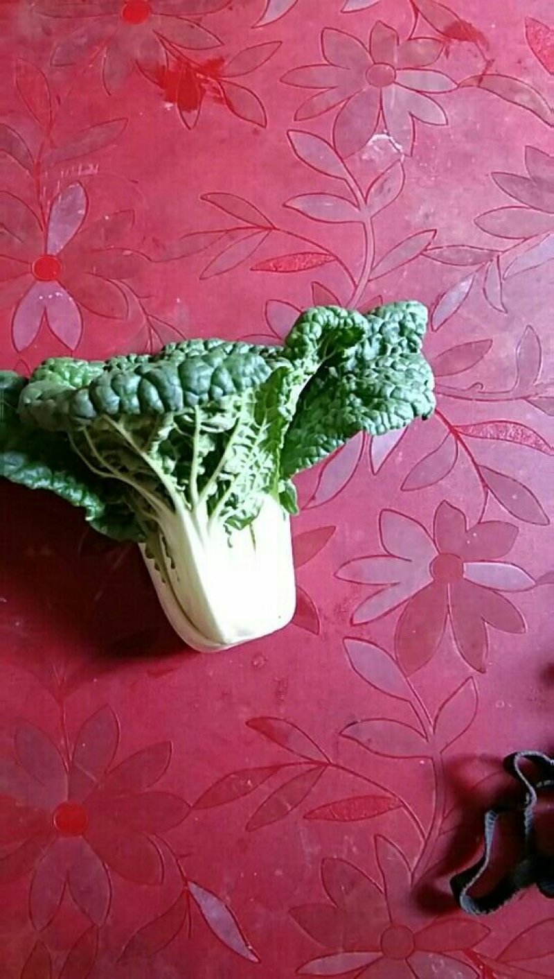黄心菜，小油菜