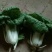 黄心菜，小油菜
