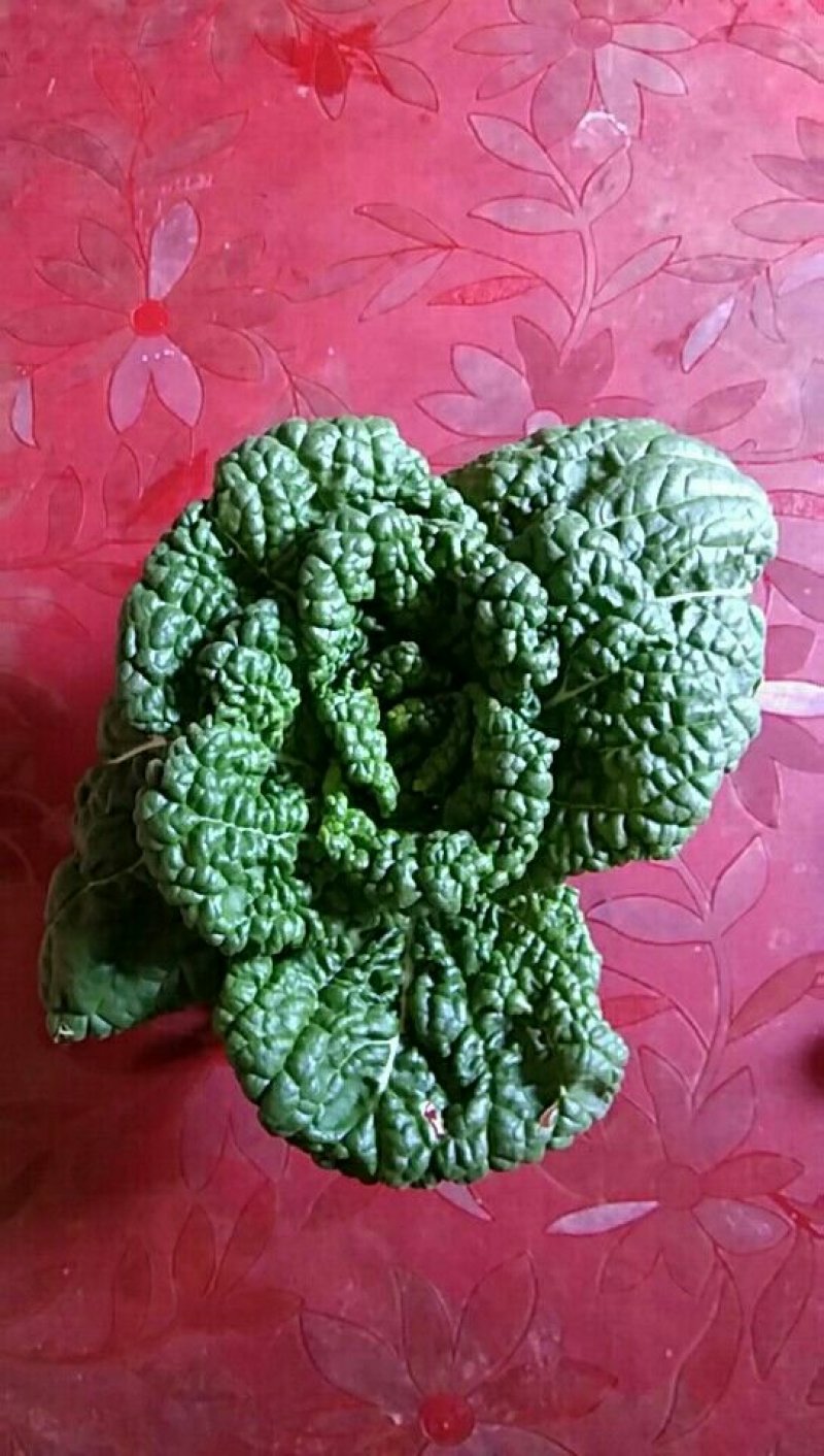 黄心菜，小油菜