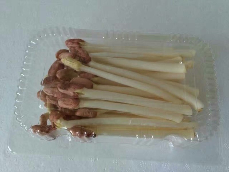 花生芽，山东特菜野菜大量批发