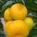 《精品湖北蜜橘》产地直发，看货采摘，保质保量！