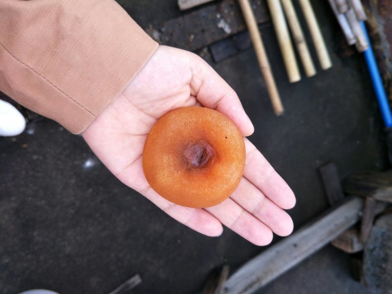 恭城柿饼